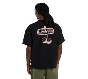 Dickies Polk Zwart T-Shirt Heren