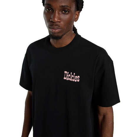 Dickies Polk Zwart T-Shirt Heren