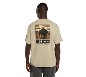 Dickies Darrtown Eucalyptus T-Shirt Heren
