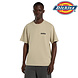 Dickies Darrtown Eucalyptus T-Shirt Heren
