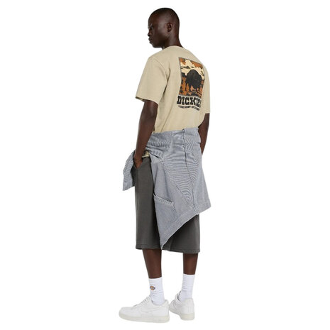 Dickies Darrtown Eucalyptus T-Shirt Heren
