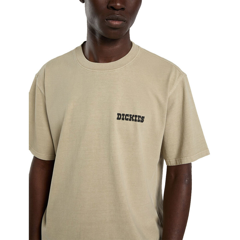 Dickies Darrtown Eucalyptus T-Shirt Heren
