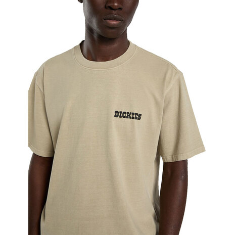 Dickies Darrtown Eucalyptus T-Shirt Heren