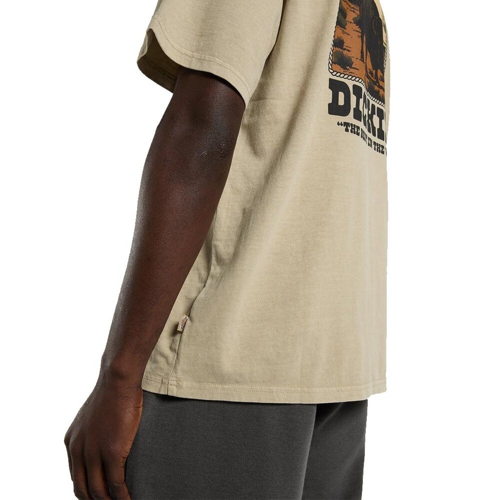 Dickies Darrtown Eucalyptus T-Shirt Heren