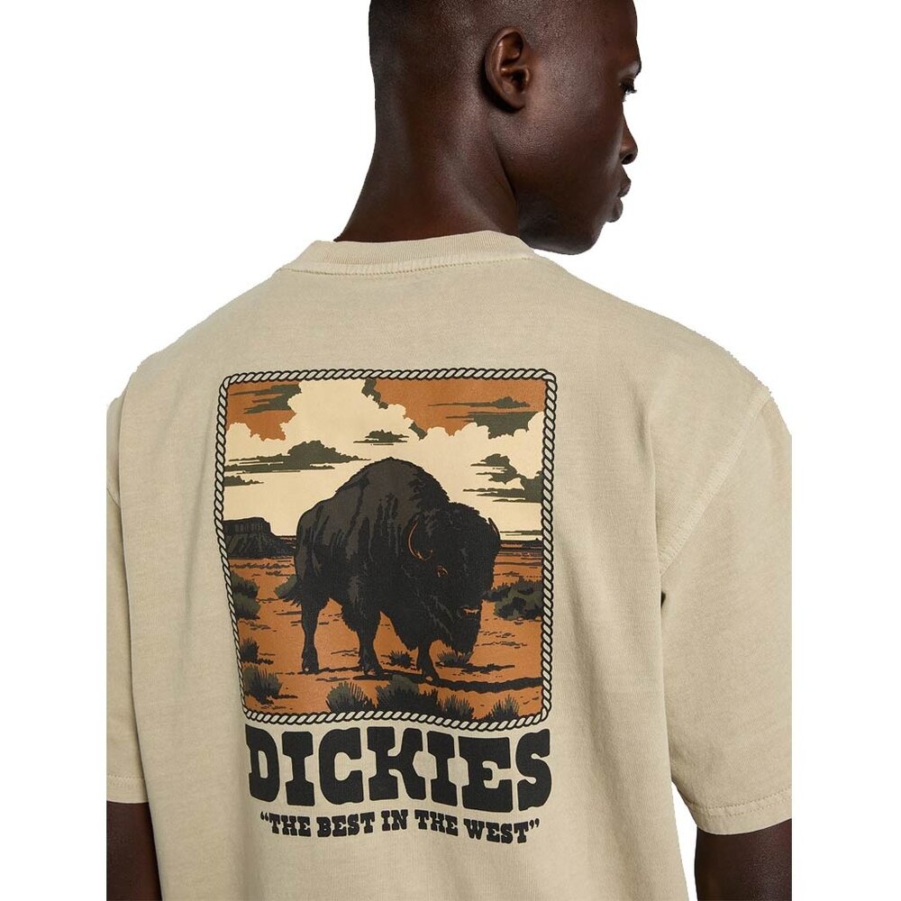 Dickies Darrtown Eucalyptus T-Shirt Heren