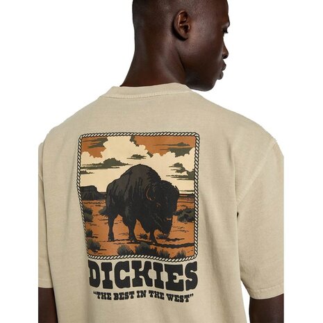 Dickies Darrtown Eucalyptus T-Shirt Heren