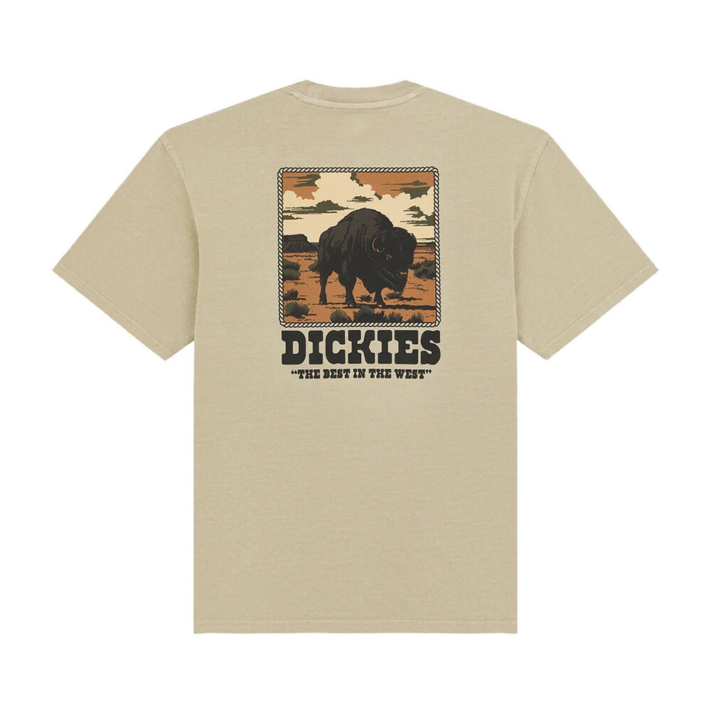 Dickies Darrtown Eucalyptus T-Shirt Heren