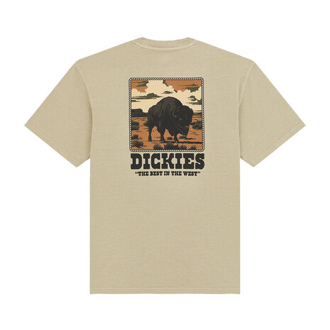 Dickies Darrtown Eucalyptus T-Shirt Heren