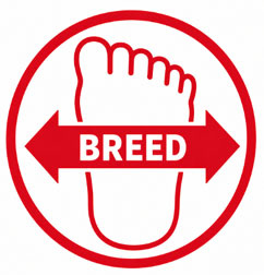 Iets Breder (H)