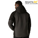 Regatta Highton Stretch Ash Black Winterjas Heren