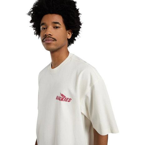 Dickies Shonto Short Sleeve Tee Egret T-Shirt