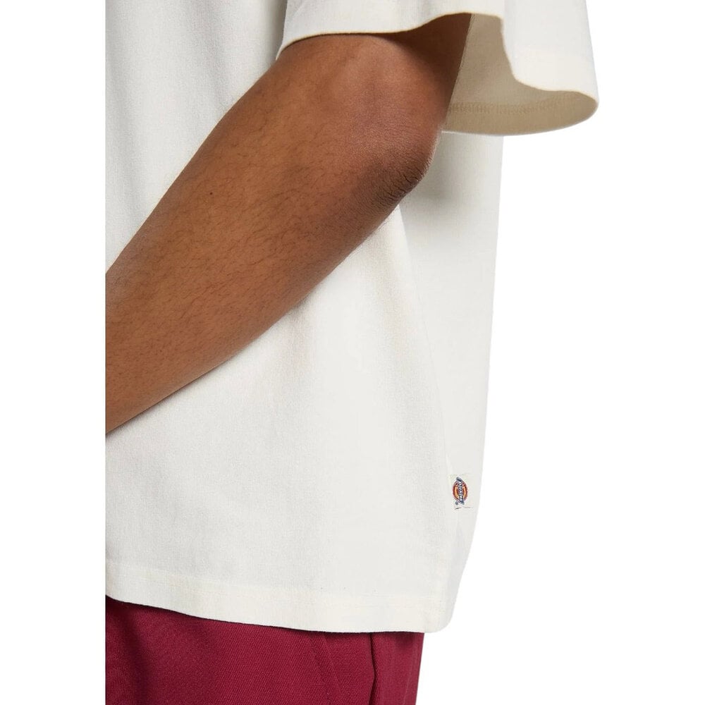 Dickies Shonto Short Sleeve Tee Egret T-Shirt