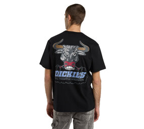 Dickies Lakeridge Short Sleeve Tee Black T-Shirt Dickies Lakeridge Short Sleeve Tee Black T-Shirt