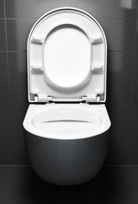 Hammock Toiletzitting met deksel tbv (New) Hammock toilet