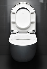 Hammock toilette sans bord sans abattant