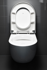 Hammock rimless toilet 49cm with seat and cover