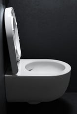 Hammock rimless toilet 49cm with seat and cover