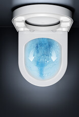 New Hammock rimless toilet, wall mounted, 49 cm, thin seat