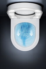 New Hammock rimless toilet, wall mounted, 49 cm, without seat