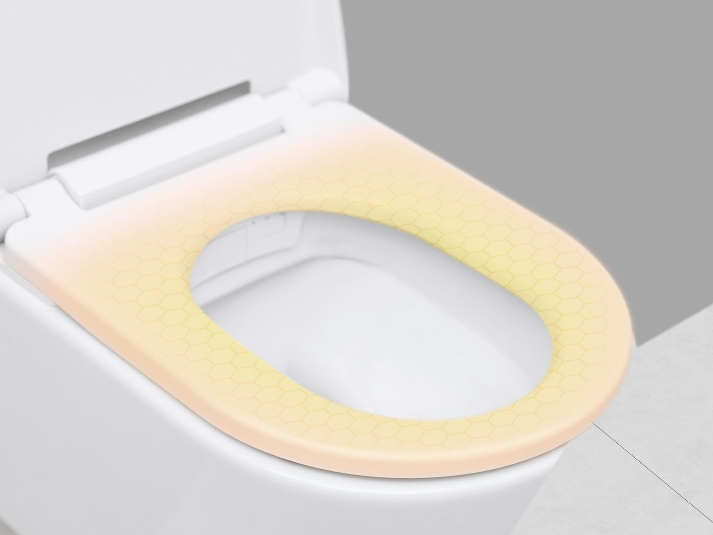 Clever Clever toilletzitting met deksel