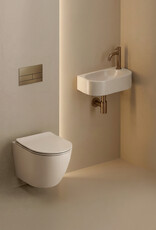 InBe rimless toilet InBe 3, with toilet seat with cover