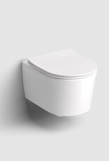 InBe toilet 48 cm, randloos, met toiletzitting met deksel