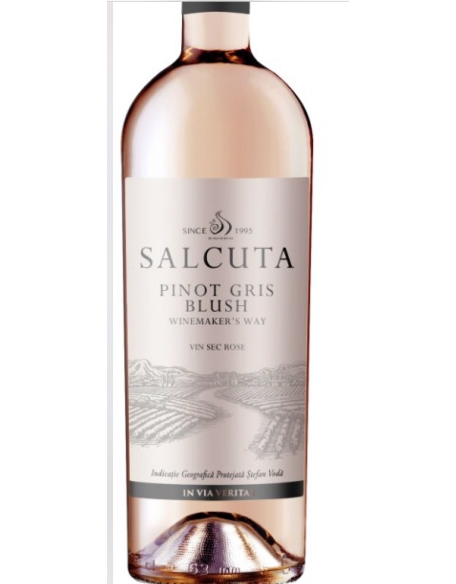 Salcuta Pinot Gris Blush Rose