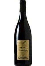 Domaine Antoine Sanzay Saumur-Champigny