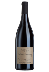 Antoine Sanzay "Les Poyeux" 2018