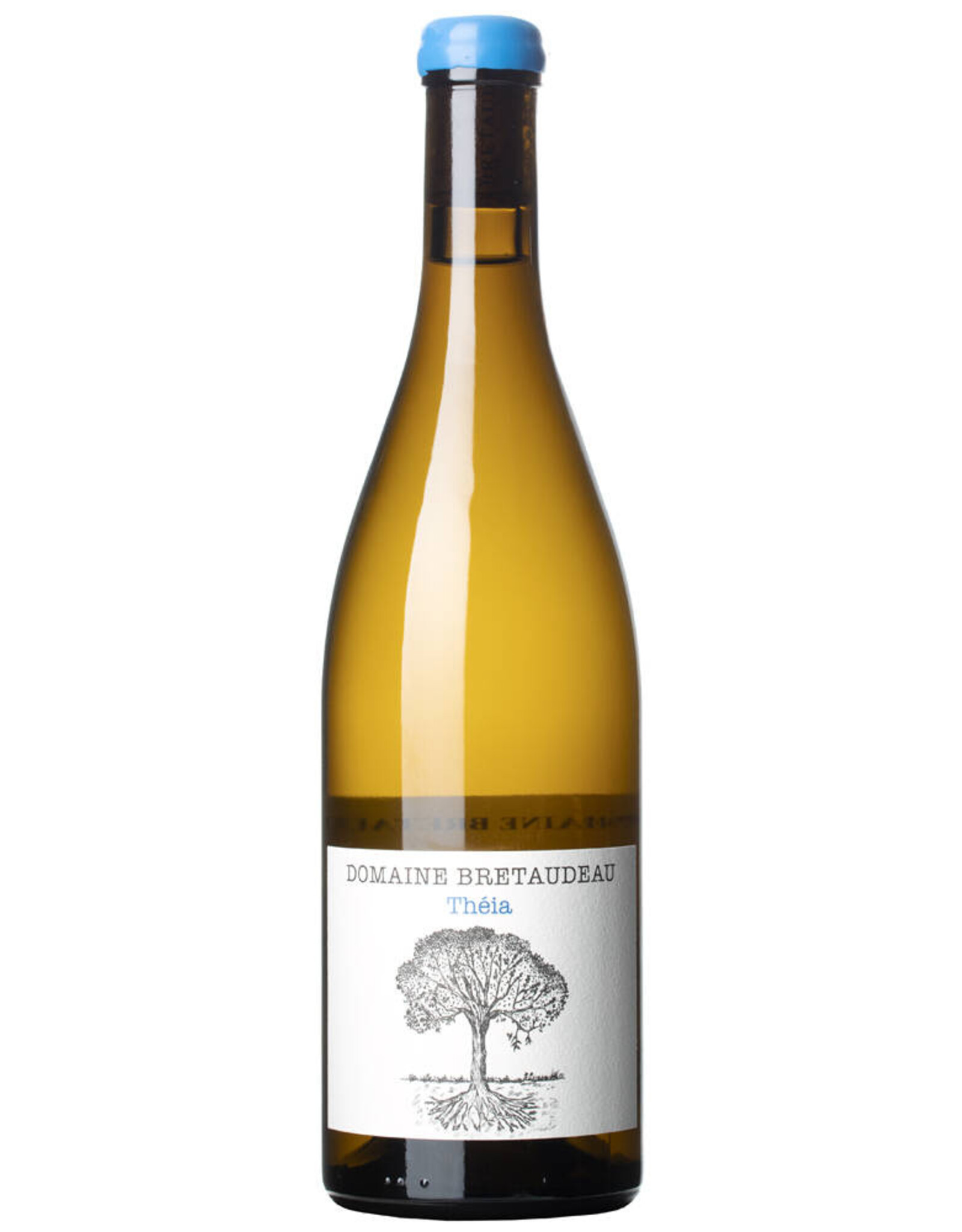 Jérôme Bretaudeau – Muscadet “Theia” 2024
