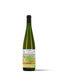 Durrmann, Riesling sur schistes Rabari