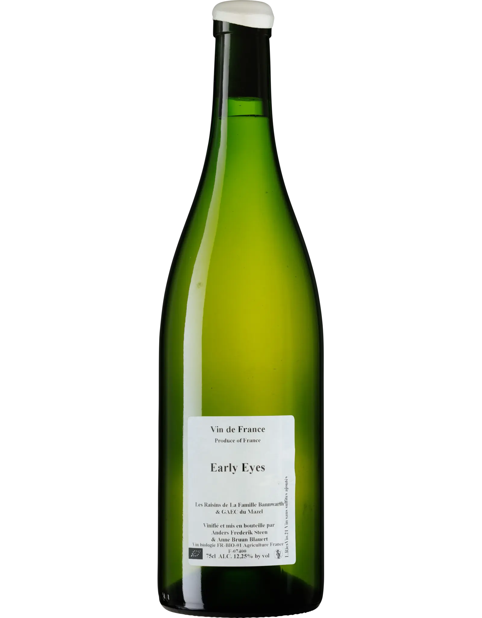 Anders Frederik Steen, Early Eyes