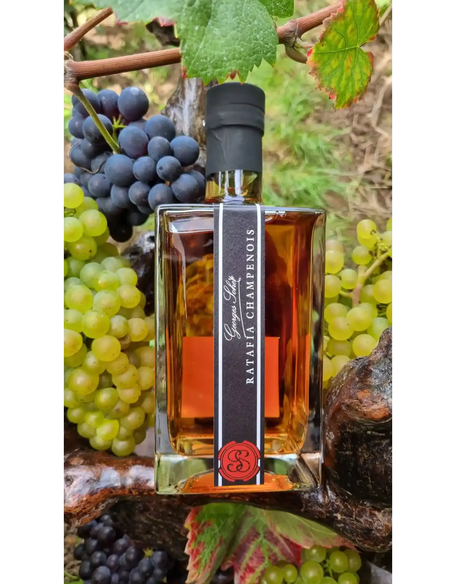 Georges Sohet Ratafia Champenois