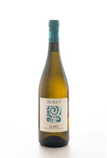 Az Agr. Piona di Gemme Camilla, Borea Gavi