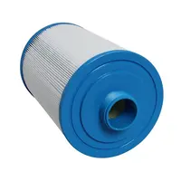 Magnum filter Wellis Spa WE25