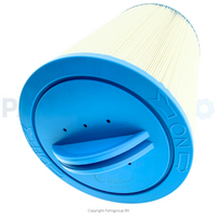 SPAS31 FILTERS COMPATIBLE WITH PMAX50P3