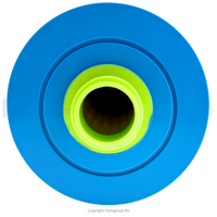 SPAS31 FILTERS COMPATIBLE WITH PMAX50P3