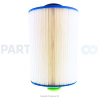 SPAS31 FILTERS COMPATIBLE WITH PMAX50P3