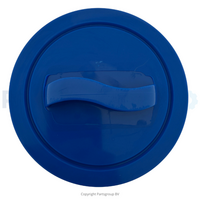 Passion | Spa Filter 4CH-935 (Indulgance)