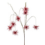 Xanthium hanging Red H120