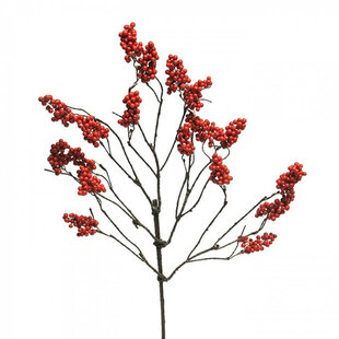 Berry Branch Symphorycarpus Red H83