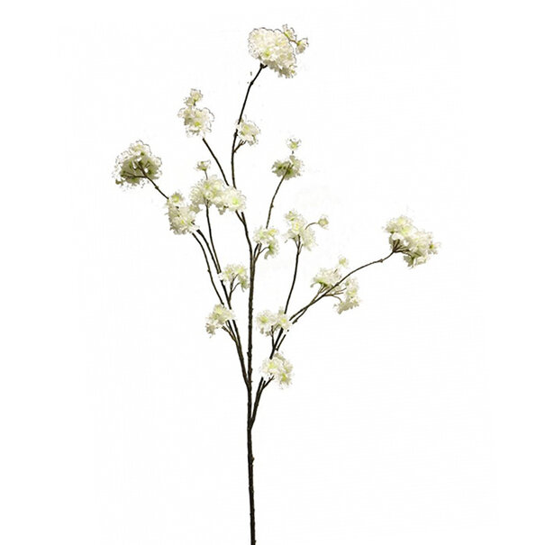 Blossom Branch White  H126