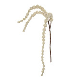 Amaranthus Branch Cream H100