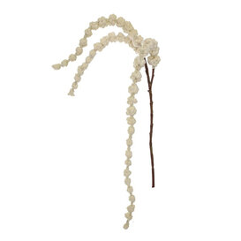 Amaranthus Branch Cream H100