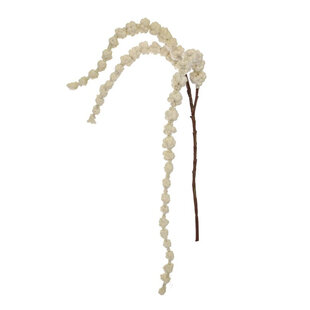 Amaranthus Branch Cream H100
