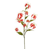 Gloriosa Branch Red H125