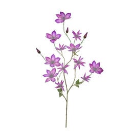Clematis branch Lavender H115