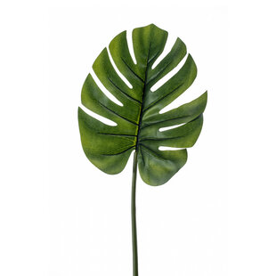 Monstera Leaf Green H73