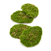 Mos Plaat Groen per 4 stuks