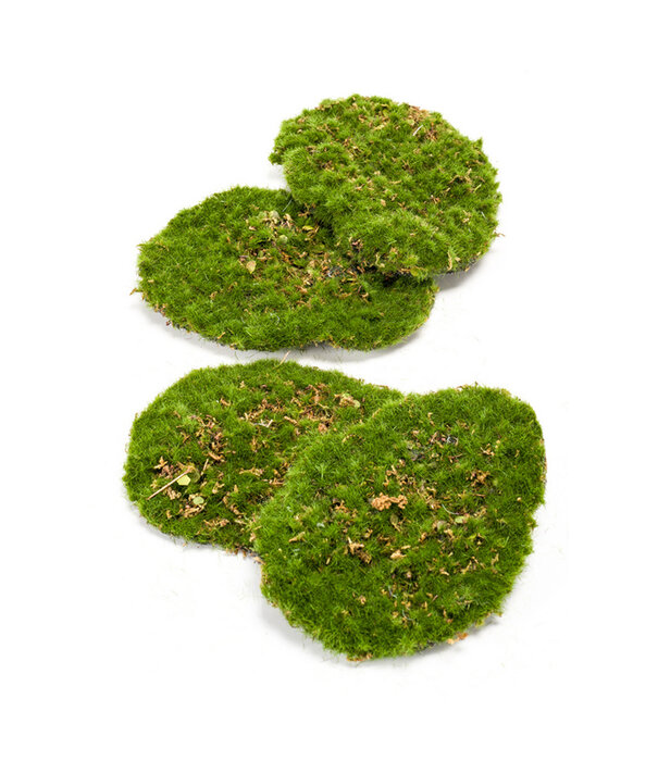 Moss Plate Green per 4 pieces